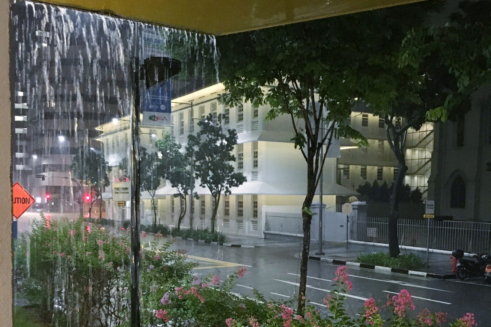 シンガポールスコール